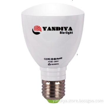 Standard Rechargeable LED Bulb